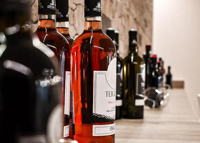 Lo Sciatore Hotel&restaurant Hotel 3*